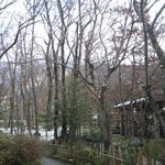 ティールーム Nicol - 外は冬景色