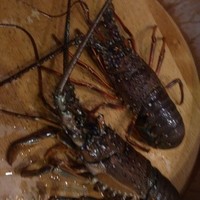 故宮 - 