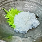 鮨 八えん - のれそれ