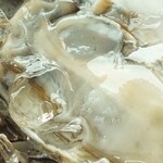 かきのおきて - 