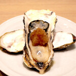 かきのおきて - 