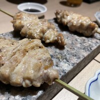 始祖鳥 - 