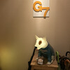 G7 - 
