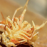 天ぷらあら木 - 