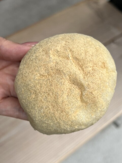 panem ite ultra photo 3