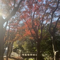 北鎌倉 紫−ゆかり− - 