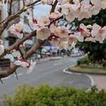 魚カレーとダルの店 でぃるせ - 日吉町駅　徒歩３分　つつじ通り　駐車場はありませんが、コインP車庫証明で会計時割引きあるようです（SNS情報）ご確認を！