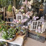 フラワーカフェ BLOOMY'S - 
