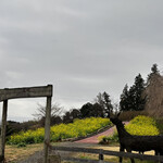 一夜城 ヨロイヅカ・ファーム - 