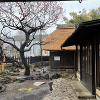等々力 ひらさわ - 