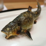ふじ - 琵琶湖鮎塩焼き、一匹ずつ