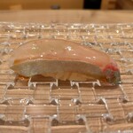 群来膳 - シマアジ