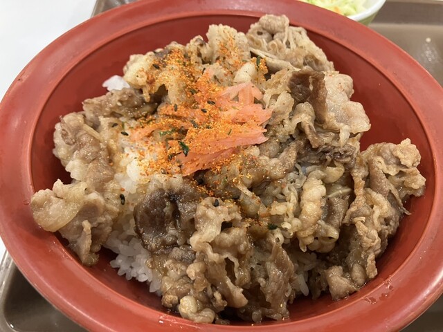 Sukiya Nijugo Go Ikaruga Horyuji Ten