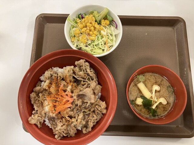 Sukiya Nijugo Go Ikaruga Horyuji Ten photo 2