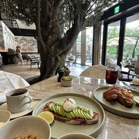 ジャヌ メルカート - 