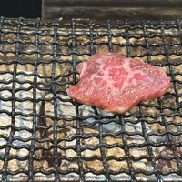鴨川たかし - 