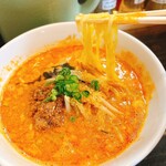 担担麺家 たけうち - 四川担々麺辛さ普通