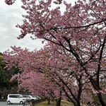 一夜城 ヨロイヅカ・ファーム - 