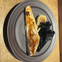 oasi - 