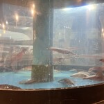 博多海鮮 さかな市場 - 