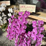 廣澤 - みつごとうさんからのお祝いのお花☆