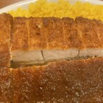 スパイスカレー キテレツ - トンカツ