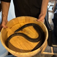 炭焼鰻 寝床 福島店 - 