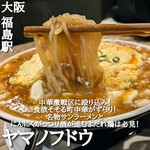 中華gathering ヤマノフドウ - 