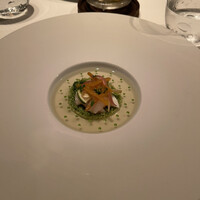 ジョンティ アッシュ - 