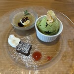 ヒダマリノキ - 