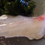 ゆう座 - しまあじ