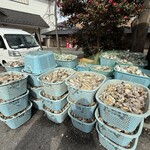 松島 かき小屋 MATSU - 