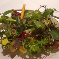 レフェルヴェソンス - 