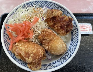 吉野家 １２１号線米沢店 - 西米沢（牛丼）の写真