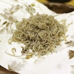 三菊 - 