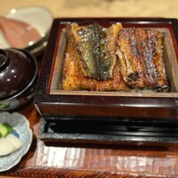 にょろ助 銀座 - 