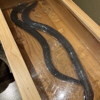 にょろ助 銀座 - 