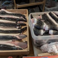 炭焼鰻 寝床 福島店 - 