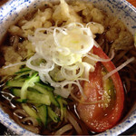 Soba Dokoro Marujuu - 冷やしたぬきそば