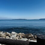 BeachHouseStyleCafe sunflower - 