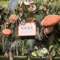 Shangri-La’s secret 表参道店 - 