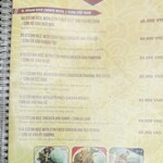 V-Cuisine - メニュー