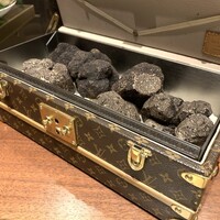 スガラボヴィー - 