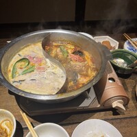 雪梅花 菜根譚 - 