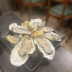 海老牡蠣酒場だるま - 