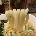 うどん居酒屋 江戸堀 - 極太剛麺