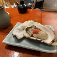 魚竹 - 