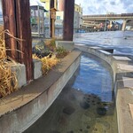 Keika Brewing 蛍火醸造 - 