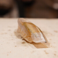 鮨 龍次郎 - サヨリ