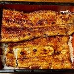 松乃家 - 料理写真: